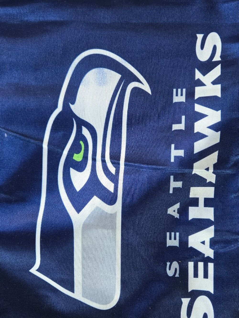 SEATTLE SEAHAWKS FLAG to hang and a smaller one to wave